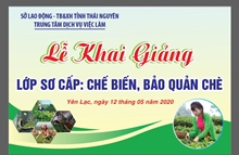 Khai giảng lớp nghề Sơ cấp Chế biến, bảo quản chè xã Yên Lạc, huyện Phú Lương năm 2020